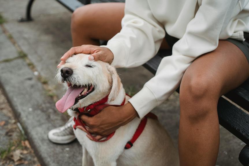 dog collar training benefits